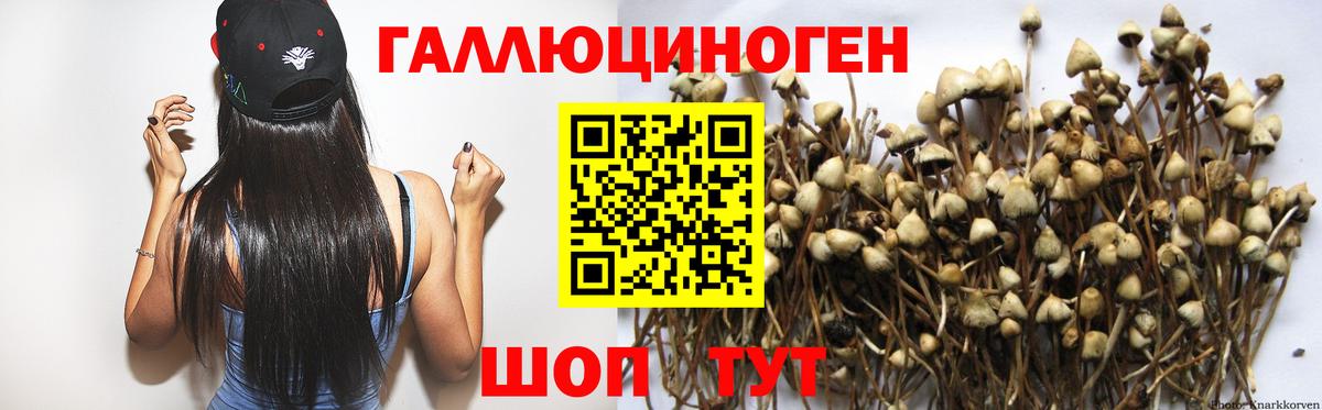Псилоцибиновые грибы GOLDEN TEACHER  Вход с VPN  Псилоцибиновые грибы мухоморы  Партизанск 